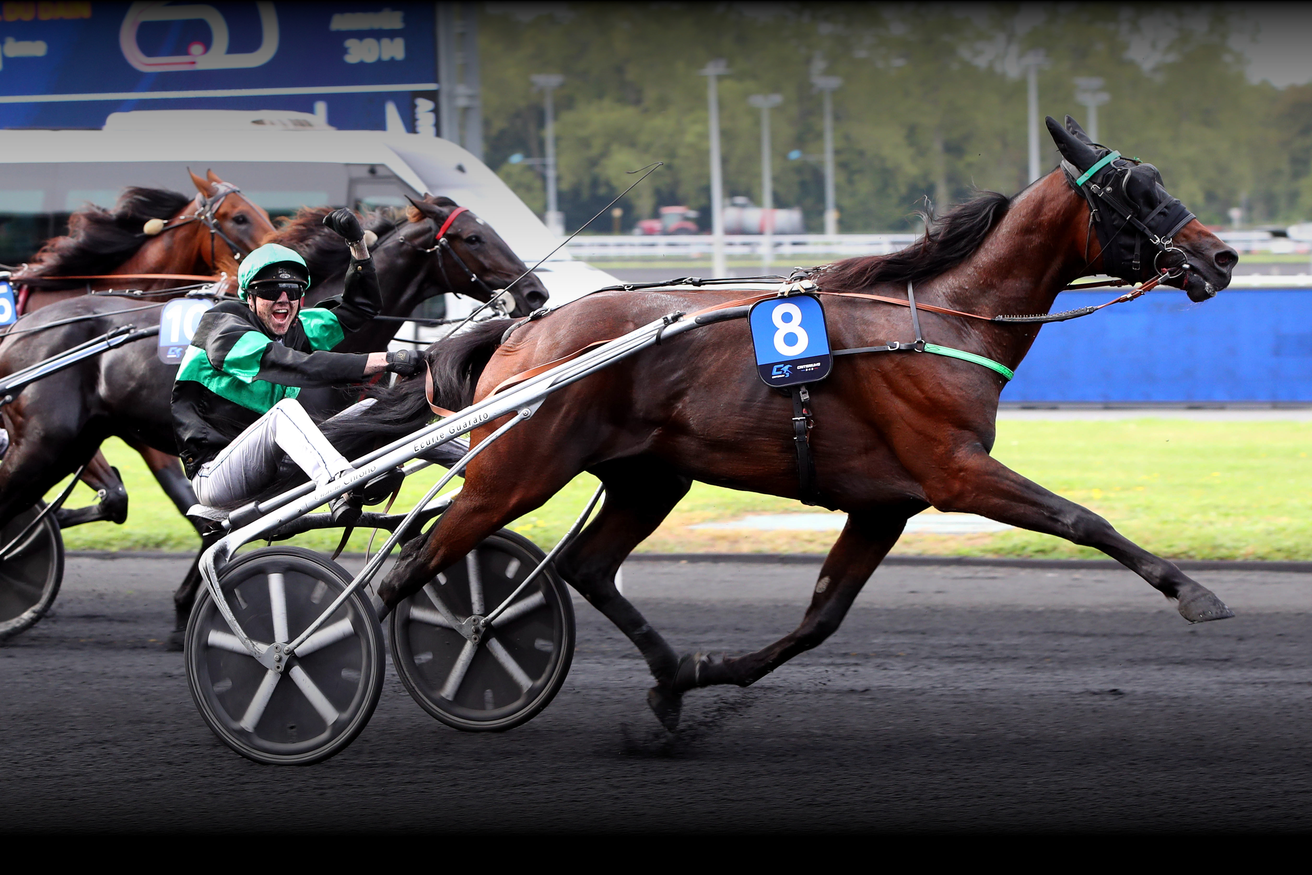 Horse Share - Homepage